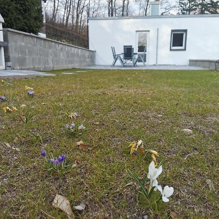 Ferienhaus Am Wald Wendehausen Exterior photo